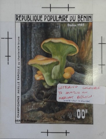 Chanterelle